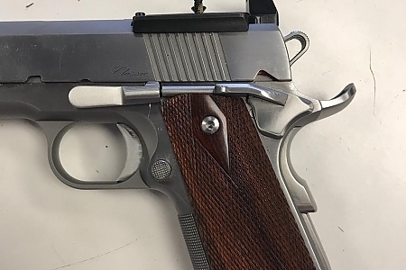 RMR Mount on 1911